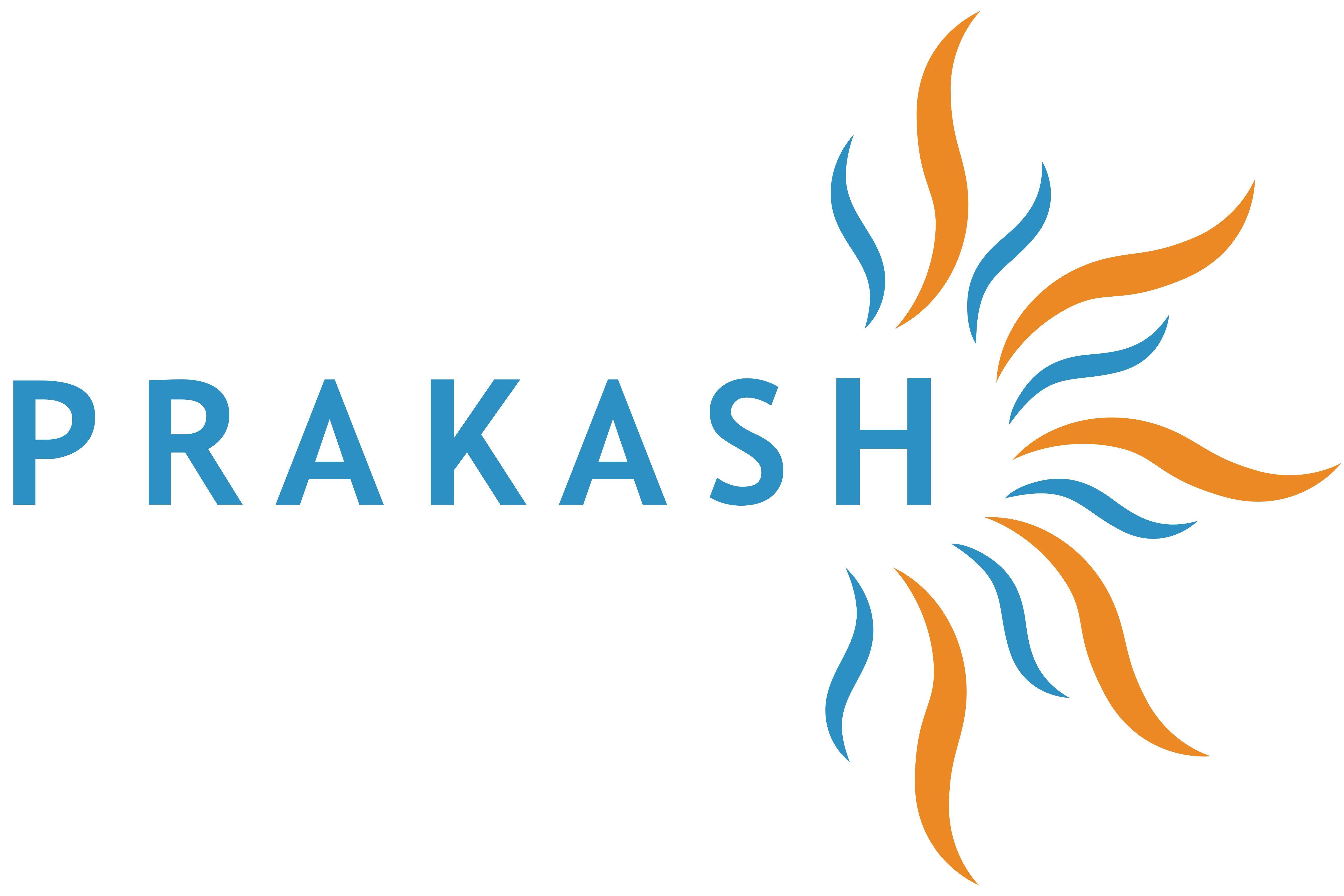 Prakash Software Solutions Pvt Ltd logo